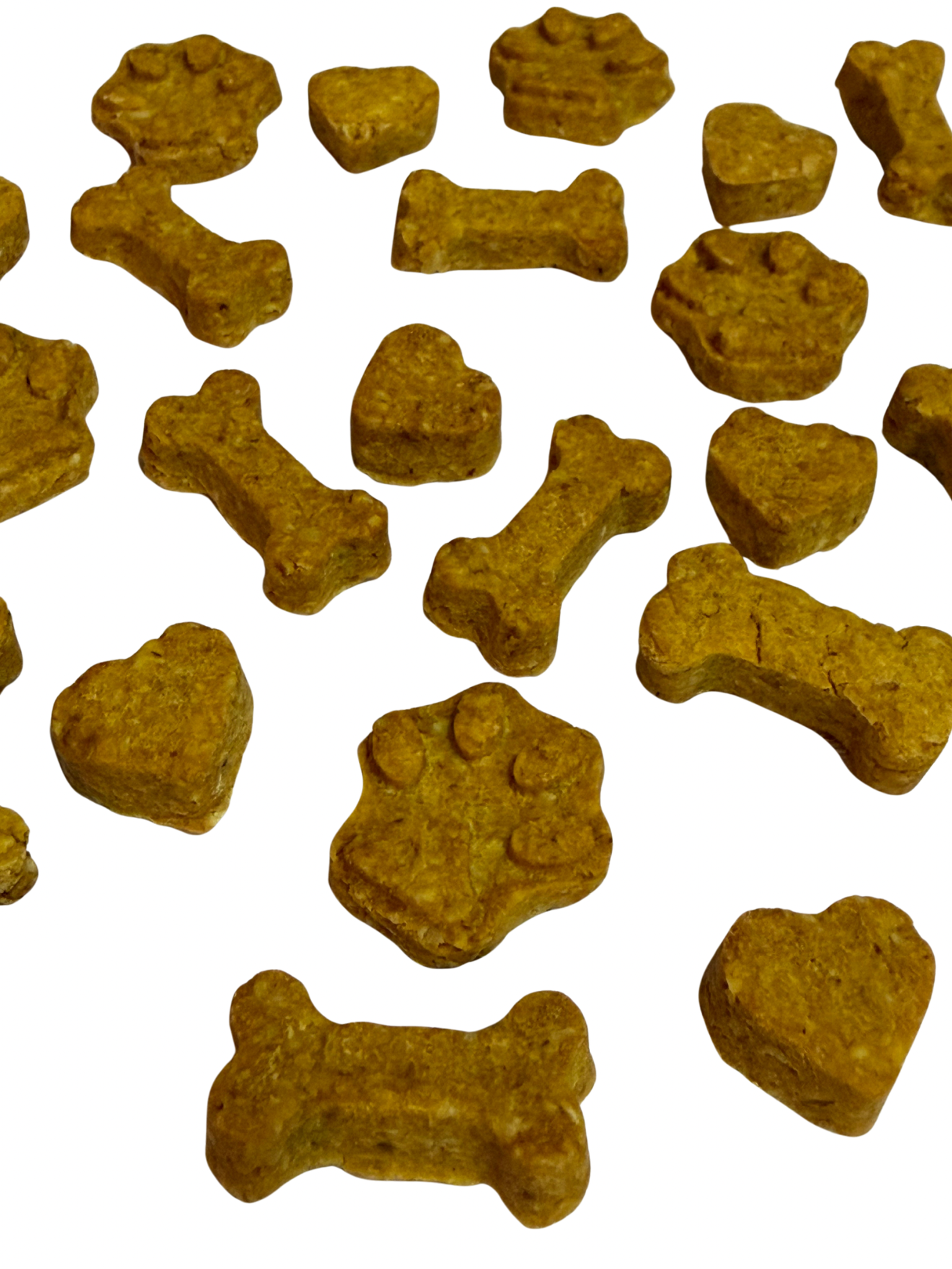 Peanut Butter Pumpkin Bites 4oz